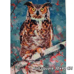 Evershine 5d Diamond Painting Winter Neuankömmlinge Voll quadratische Diamant -Mosaik -Eulen -Kreuzstichstickst Sticksticke Tiere Kits Wanddekoration