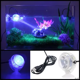 Remoto Control Colorful LED RGB Acquario Acquario Serbello Subtibile Spotlight LED Lampada USTa Plug-240V 110-240V