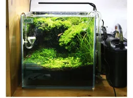 Chihiros C serisi Ada tarzı bitki büyüyen LED ışık mini nano klip akvaryum su bitkisi balık tankı yeni geldi!