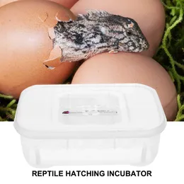 12 Grids Reptiles Eggs Breeding Hatcher Case Safety Lizard Snake Egg Incubator Tray Box Household Pet Hatching Accessories