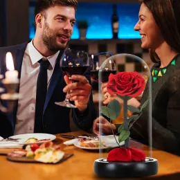 Schönheit und das Tier konservierte Blumen rote ewige Rose in Glaskuppel Geschenken für Hochzeit Geburtstag Valentinstag Weihnachten Jubiläum