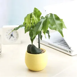 Mini colorate piante di plastica rotonda pentole di fiori per decorazioni per ufficio per ufficio piante succulente fioriere utensili da giardino di fiori in vaso