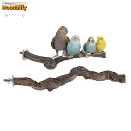 Bird Punch Parrot Branch in piedi in legno naturale barre in gabbia giocattolo in legno coccole per accessori per uccelli per piccoli a medi