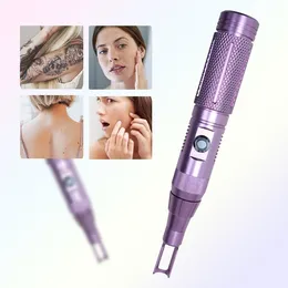 Remoção por pigmentos por picossegundos portáteis do Taibo/Remoção de Pigmentos/Spot 1064nm 532nm 755nm Laser Picosegund/Picosegund q comutado laser para uso de spa para uso