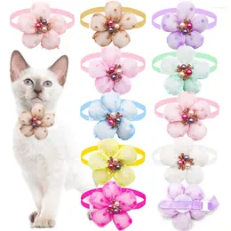 Hundkläder 40st Pet Grooming Accessories Bow Tie Flower Form Justerbar slips Handgjorda katt grossistprodukter