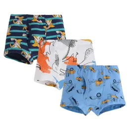 Hosenreine Pure Cotton Faden -Kinderhosen, kleine und mittelgroße Kinder -Dinosaurier -Jungen Boxer Shorts