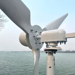 3000W 5000W 220V Horizontal Wind Turbine Windmill 48v 120v 240v Permanent Magnent Generator 3KW 5KW Wind Generator Free Power