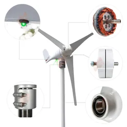 400W Windmill 2m/s Low Start Speed AC12v 24v With MPPT Controller Flexibly Assemble 3 or 5 Blades Small Wind Turbine Generator