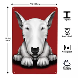 عتيقة English English Bull Terrier Metal Tin Sign Rectangle Custom Animal Pet Prppy Signs Plaques Gate Gatter Bars Wall Decor