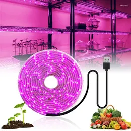 Grow Lights DC 5V LED LED USB Spettro completo 1-5m Lampada phyto per verdure per posa di posa