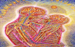 Poster 32x24quot 17x13quot Trippy Alex Grey Wall POSTER DRUCK HIERKEITER WALLKEHRSTELLEN POSTER CAL0383034193