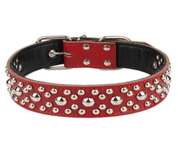 犬の襟の綱は、大きな品種のために調整可能な丸いリベットを備えた本物の革製の大きな襟ペット用品7561872
