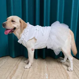 Roupas de cachorro Big Dog Summer Grande vestido de noiva Corgi Shiba Inu Samoied Husky Labrador Golden Retriever Costumes Pet Costumes 240402