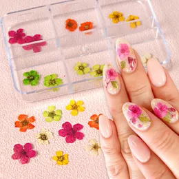 12 Pcs Natural Dry Flowers Nail Art Decorations Colorful Real Dried Small Flower Manicure Accessories Supplies for Gel Nail Tips