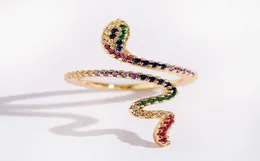 2020 Joyeria Mujer Anéis empilháveis anéis de cobra para mulheres cor de ouro clear cz punk rock anel de jóias de animais Q07085392604