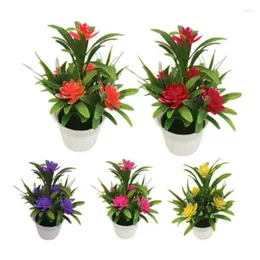 Flores decorativas Planta artificial Small Bonsai Desktop Creative Diy Garden Decoration Outdoor Home Office Gift