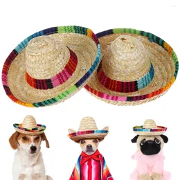 Hundekleidung bunte Mini -Haustierhunde Strohhut Sombrero Katze Sun Beach Party Mexikanische Mütze Hataii Style Supplies