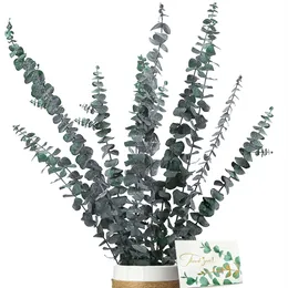 Eucalipto seco natural Flores secas, buquê de eucalipto preservado, Bouquet de casamento Bouqet Eucalyptus arranjo boho home vaso decoração