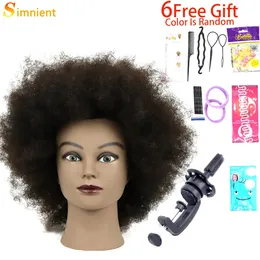 Afro -Schaufensterpuppe Köpfe mit 100%echtem menschlichem Haar Friseur Training Kopf für Salon Kosmetik Manikin Dummy für Puppenköpfe Haare 240403