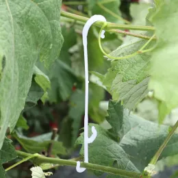 J -formade tomatkrokar Vegetabiliska körsbärsdruvanläggningar Stödklämmor Fasta krokar för att förhindra tomatfruktklusterträdgårdsmaterial