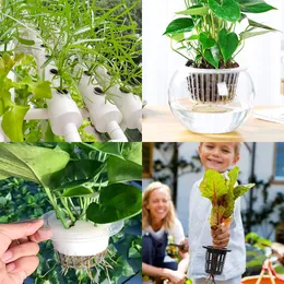 Hydroponic Basket 10st Plant Containrar odlar krukor av hög kvalitet rundform tunga nettokoppar inomhus och utomhushemförsörjning