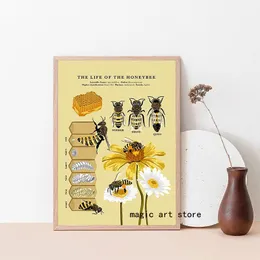 Vintage Ancient The Life of the Honey Bee Insetti naturali Biologia Poster d'arte Posti di pittura Stampa per pareti Diamazione per la casa