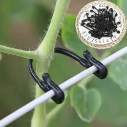 50 pezzi a forma di j a forma di frutta ciliegia a orecchio per pomodoro giardino vegetale supporto per verdure viti fustegne clips ciottoli a fibbia fissa