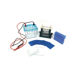 Dual Vertical Electrophoresis Instrument for Protein Gels, for Seed Purity Testing or Sample Protein Electrophoresis