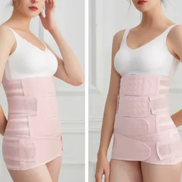 출산 산후 산후 벨트 복부 통기 소송 임신 산후 허리 코르셋 벨트 임신 신체 회수 Shapewear D46