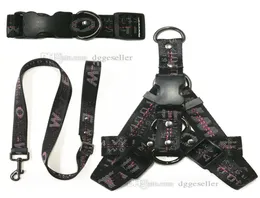 Designer Dog Irreness e Leashes Impostare nessun colletto di gilet per cani per piccoli cani mediocrifiette regolabili Halter carichi di cavezzatura Wi3935681