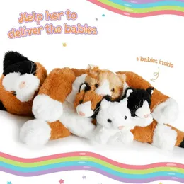 Plush Dolls 50cm Cute Cat Doll Toy Toy Set Soft Cat Hight Hift Pillow Palow 5 Op Pick Coft مع الحيوانات J240410