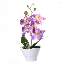Dekoratif çiçekler yapay çiçek beş başlık kelebek orkide bonsai seti simülasyon yeşil bitki yaratıcı dekorasyon saksı
