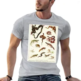 Herrtankstoppar Adolphe Millot-Batraciens et Reptiles French Vintage Zoology Poster T-shirt T-shirts Man Clothes Cotton Cotton