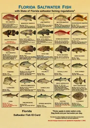 Морская рыба плакат kraft плакат художественный картин
