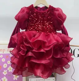Winter Kids Girls Velvet Dress Baby Red Wedding Wear Party Tutu Kids Birls Birthday Long Sleeved Dresses7383679