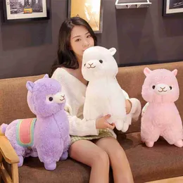 Animali peluche di peluche adorabili adorabili peluche e soffice peluche morbida pecora graziosa pecora lama anticolo per bambini cuscinetto da bambino kawaii decorazione del letto per la casa decorazione di compleanno l411