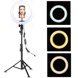 YouTube Makeup Fill Lighting Video Live Shooting LEDリングライト電話ホルダー付き10インチTripod Stand Selfie Circle Tikok Lamp7718702