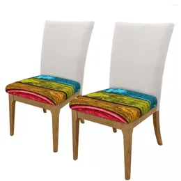 Chair Covers Square Cushion Cover Colorful Wooden Planks Kitchen Dining Seat Slipcovers Removable