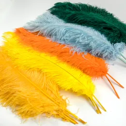 10pcs ريش النعامة الكبير 15-60 سم ل DIY Craft Table Center Decor Ostrich Plumas Carnival Party Party Excessories Bulk