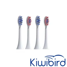 Kiwibird Sonic Electric Frush Head Diamond Diamond Dupont على شكل فتحة اللون تغيير الاستبدال العالمي للفرشاة الذكية