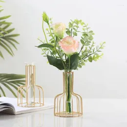 VASES GOLDEN IRON LINE VASE HASELY HIDROPONIC PLANT FLOWER METAL HOLDERリビングルームのレトロ装飾