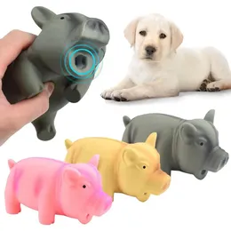 Söt hundtuggar Toys Rubber Sound Pig Grunting Squeak Latex Pet för Squeaker Training Puppy Supplies Products 240328
