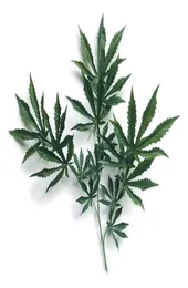 Plantas falsas 1pcs cannabi planta e deixa artificial para decoração de casa flores decorativas grinalds293r8904111