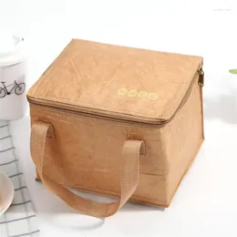 Lagerbeutel tragbare wasserdichte Picknick -Lunchbox -Campingausrüstung langlebiger Gang isolierter Umweltschutz