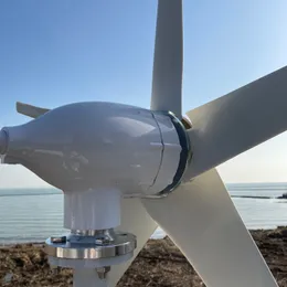 Ветряная турбина 8000 Вт 12 В 24 В 48 В генератор с низким уровнем начала Скорость ветроэнергетики Скорость Бесплатная Альтернативная энергия 3BLADES с гибридным контроллером MPPT
