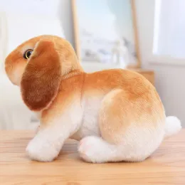 30 cm Lifeleelike Rabbit Plush Toys Real Life Real Cute Animal Bunny Boll Boll Battle Gift Toy