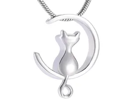 IJD10014 Moon Cat rostfri Stee Cremation Jewelry for Pet Memorial Urns Halsband Håll Ashes Keepsake Locket Jewelry6525162