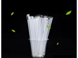 Individuellt förpackat plast Transparent halm 105in Återanvändbar plaststrångrön PP Drink Straw 7FOlC8831952