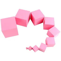 Set di famiglia Montessori Blocchi in legno Pink Tower Blocchi per bambini Coordinamento per occhio di mano set di numeri numerabili