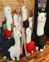 Llama Arpakasso Pimbolo di Pimbolo 28CM11 pollici Alpaca Soft Plush Toys kawaii carino per bambini Presentare di Natale 6 Colori5062212